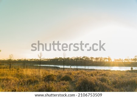 Sunset with pine forest and reservoir and blue sky background. Nature and outdoor background in national park at Thailand