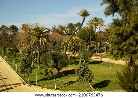 La Alqueria park area view in Dos Hermanas, Seville. downtown. grand park