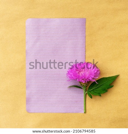 greeting card with vibrant magenta flowers with copy space

