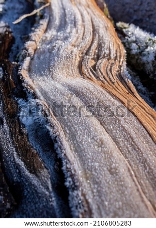 wood texture and ice picture