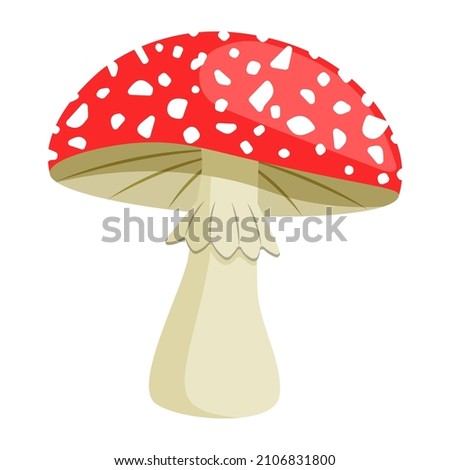Amanita mushroom. Poisonous toadstool fly agaric. Inedible poisonous mushroom. Autumn and summer forest dweller. Vector illustration Royalty-Free Stock Photo #2106831800