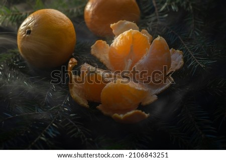 Christmas or New Year's still life of tangerines lying on a spruce branches.