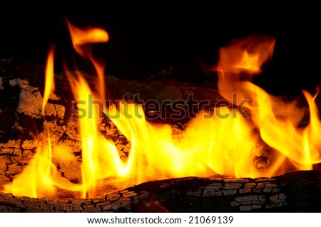 Flame tips on the firewood.