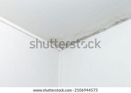 gray mold on the ceiling and walls, dampness in the house Royalty-Free Stock Photo #2106944573