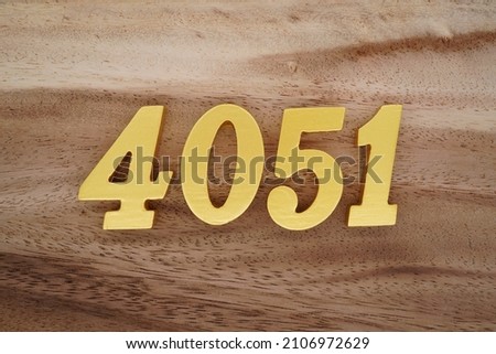 Golden Arabic numerals 4051 on a dark brown to white wood grain background.
