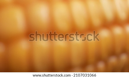 Blurred corn pictures are good for begroud
