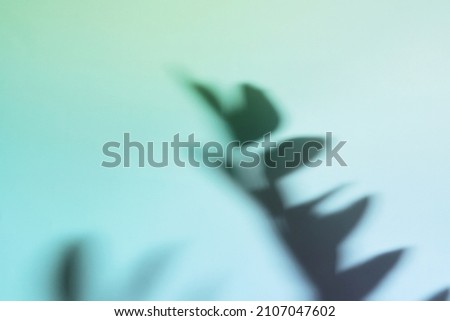 Natural leaves shadow on gradient paper background. Abstract blue and mint floral backdrop. Soft light