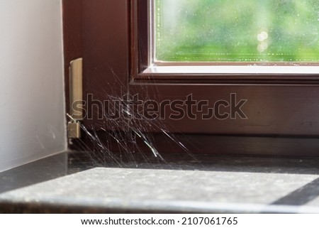 We haven wiped the dust for a long time. Silvery spider webs glow in the sun in the corner of a modern window and sill Royalty-Free Stock Photo #2107061765