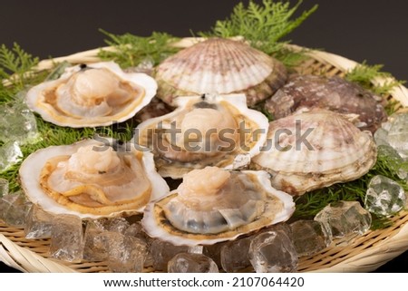 Image of scallops with shells