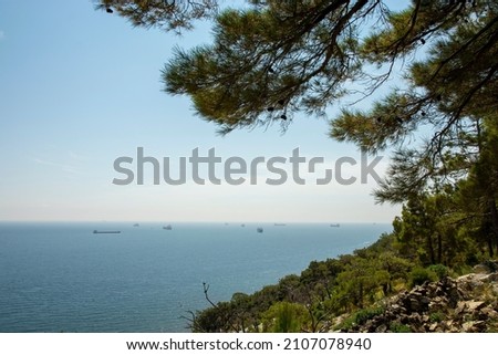 sea view from the coniferous forest from the mountainside. tourism and travel