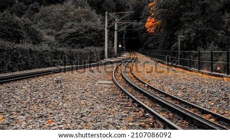 train tracks in autumn season