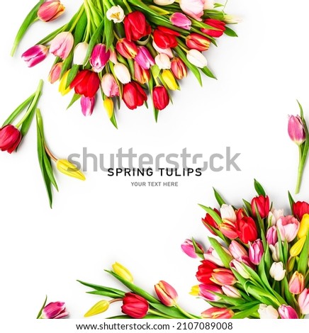 Spring tulips. Composition and creative layout made of colorful tulip flowers isolated on white background. Top view, flat lay. Design element Royalty-Free Stock Photo #2107089008