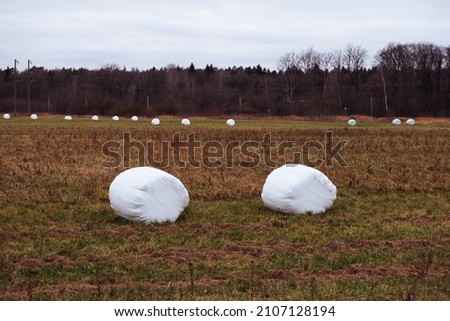 A haystack packed for winter in the field. High quality photo