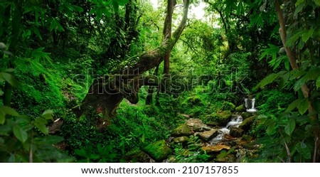 Tropical jungles  of Southeast Asia Royalty-Free Stock Photo #2107157855