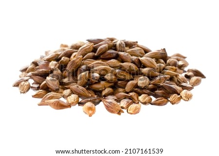 Pile of barley tea isolated on white background, top view. Malted and roasted barley isolated on white background. Roasted barley tea isolated on white, top view. Dark grains of barley. Royalty-Free Stock Photo #2107161539