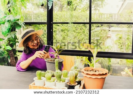 Elderly asian women love to plant cacti to capture their impressions and take pictures of cacti in their gallery collections with their smartphones : Recreation at home concept.