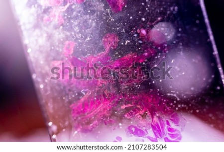 Inside microscope view at histology glass slide Royalty-Free Stock Photo #2107283504