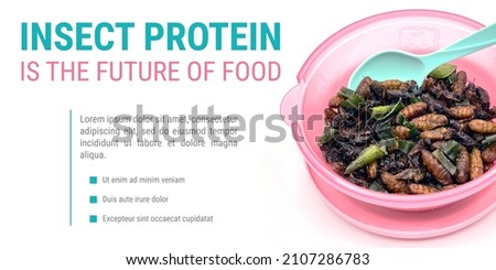 Insect protein is the future of food poster and banner layout. Fried cricket and fried silkworm pupa infographic. Edible insect cooked.