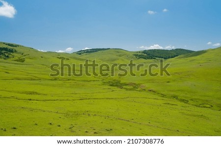 Fields of spring. Green meadow and blue sky.