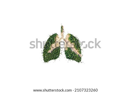 Green and Eco human lungs concept. Green trees shaped like human lungs conceptual image. World health and Environment day concept. World Forestry Day