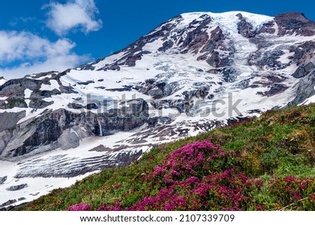 Skyline Trail, Mount Rainier. Mount Rainier National Park, Washington State, USA Royalty-Free Stock Photo #2107339709