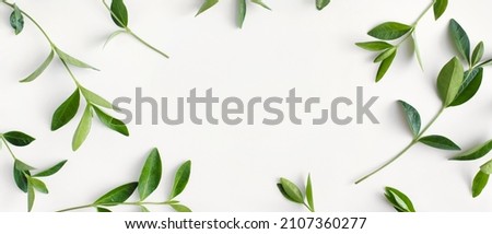 Banner made of branches with green leaves on white background. Flat lay, top view, copy space