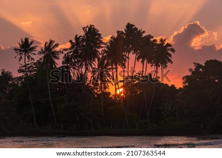Picturesque sunrise exotic island view. Palms trees litted with a pink orange sun rays. Dewata beach, Galle district. Sri Lanka.