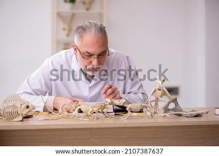 Old male paleontologist examining ancient animals at lab Royalty-Free Stock Photo #2107387637