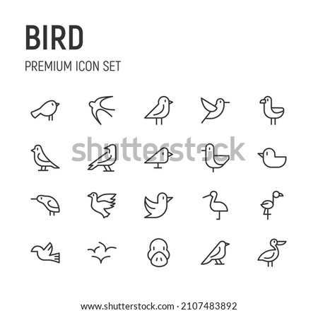 Set of bird line icons. Premium pack of signs in trendy style. Pixel perfect objects for UI, apps and web.