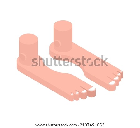Feet isometric isolated. Toes vector illustration. Two legs