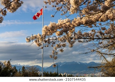National Flag of Canada and cherry blossoms in full bloom. Concept of canadian urban city life in spring time. Queen Elizabeth Park, Vancouver, BC, Canada.