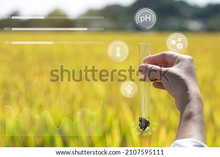 Hand Holding soil sample in a tube on the field for chemical analysis and ph test. Agrochemical analysis soil and greenhouse soil for fertility. Soil quality monitoring concept





  Royalty-Free Stock Photo #2107595111