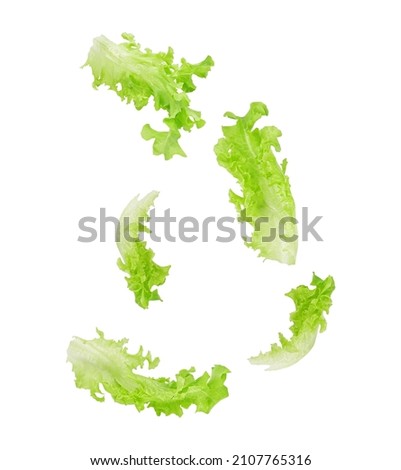 Fresh salad green lettuce leaves falling in the air isolated on white background. Royalty-Free Stock Photo #2107765316