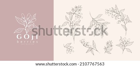 Goji berries flowers floral branch and logo set. Hand drawn line herb, elegant leaves for invitation save the date card. Botanical rustic trendy greenery Royalty-Free Stock Photo #2107767563