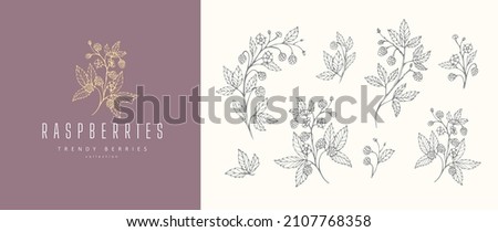 Raspberries floral branch flowers and logo set. Hand drawn line herb, elegant leaves for invitation save the date card. Botanical rustic Royalty-Free Stock Photo #2107768358