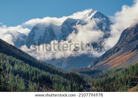 Amazing view from sunlit coniferous trees to fir forest valley and high sharp rocky mountain range in low misty clouds. Awesome mountain landscape with cedar forest and sharp rocks. Nature of Altai. Royalty-Free Stock Photo #2107796978