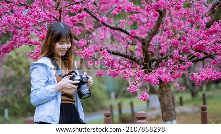 Traveling woman using modern camera ,Beautiful girl taking a picture at a pink cherry blossom tree