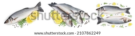 Sea bass fich isolated on white background. Top view. Flat lay. Set or collection Royalty-Free Stock Photo #2107862249