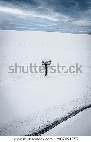 Snow storm in the woods Royalty-Free Stock Photo #2107891757