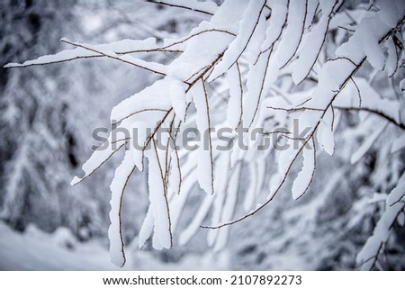 Snow storm in the woods Royalty-Free Stock Photo #2107892273