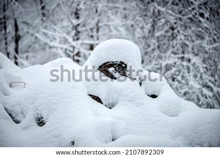 Snow storm in the woods Royalty-Free Stock Photo #2107892309