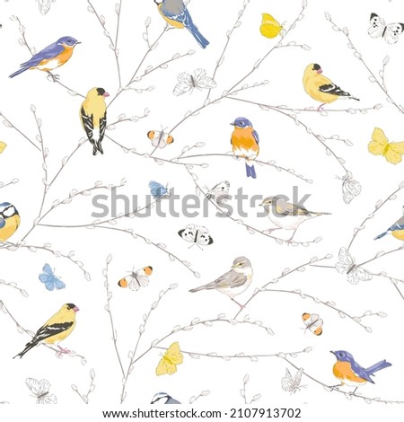 Many garden birds sitting on Spring Pussy Willow branch Flying butterfly vector seamless pattern. Vintage romantic nature hand drawn print. Cottage core aesthetic background.