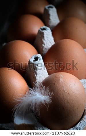 a tray of eggs in a dark place