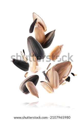 Fresh sunflower seeds falling in the air isolated on white background. Food levitation concept. High resolution image Royalty-Free Stock Photo #2107965980