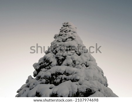 scenic images of snowy winter nature