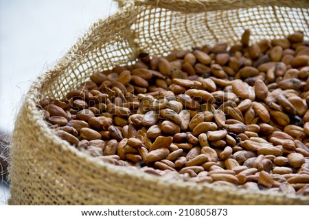 Roasted cacao beans in a sack