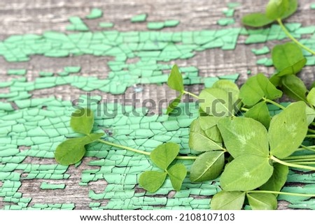 flowers and clover leaves on an old wooden background, rustic style.
copy Space,
