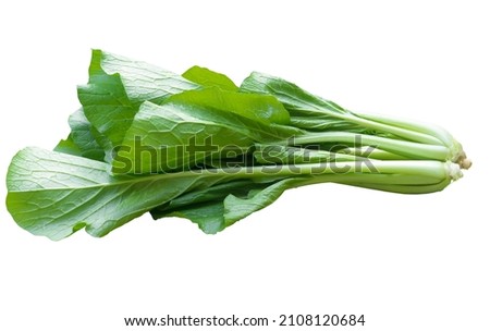 Fresh green flowering cabbage is isolated on white background.