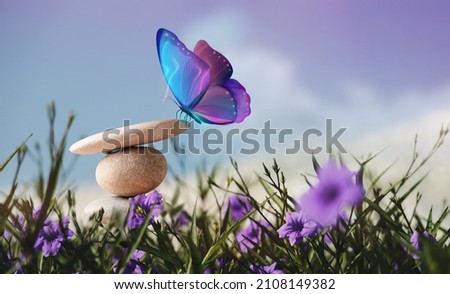 Harmony of Life Concept. Surrealist Butterfly on the Pebble Stone Stack in Garden. Metaphor of Balancing Nature and Technology. Calm, Mind, Life Relaxing and Living by Nature Royalty-Free Stock Photo #2108149382