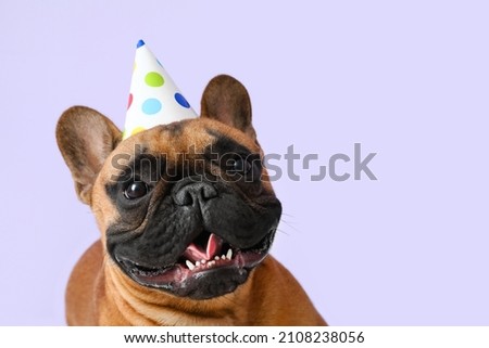 Cute French bulldog in party cone on color background